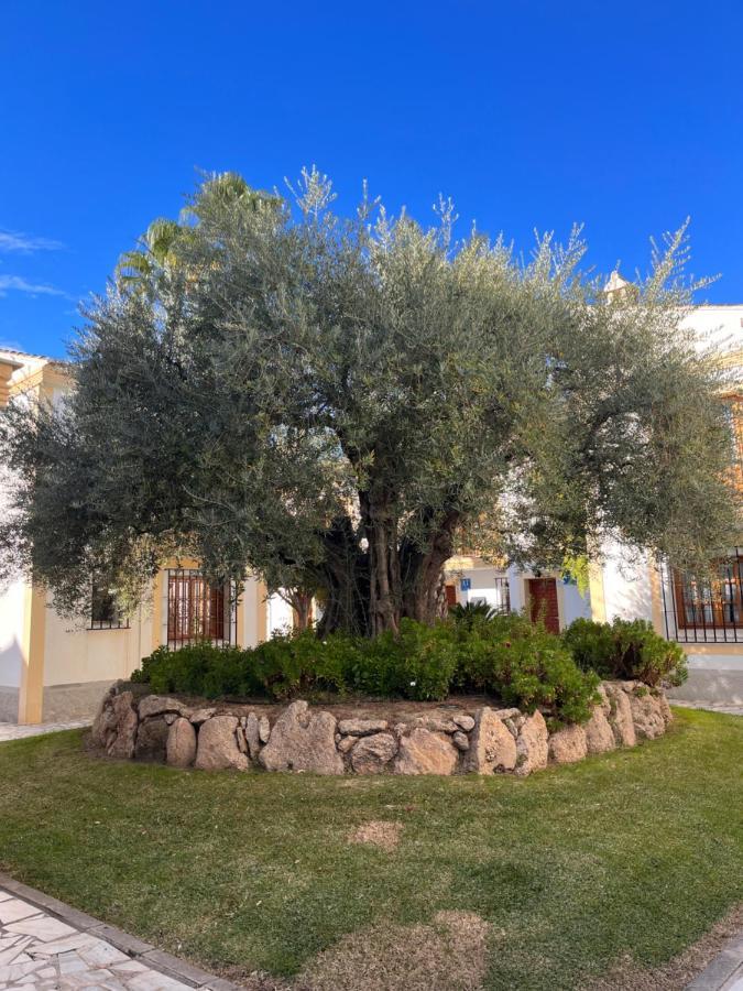 Apartamento Soleado Vera Costa, 200 M De La Playa Playas de Vera Екстериор снимка